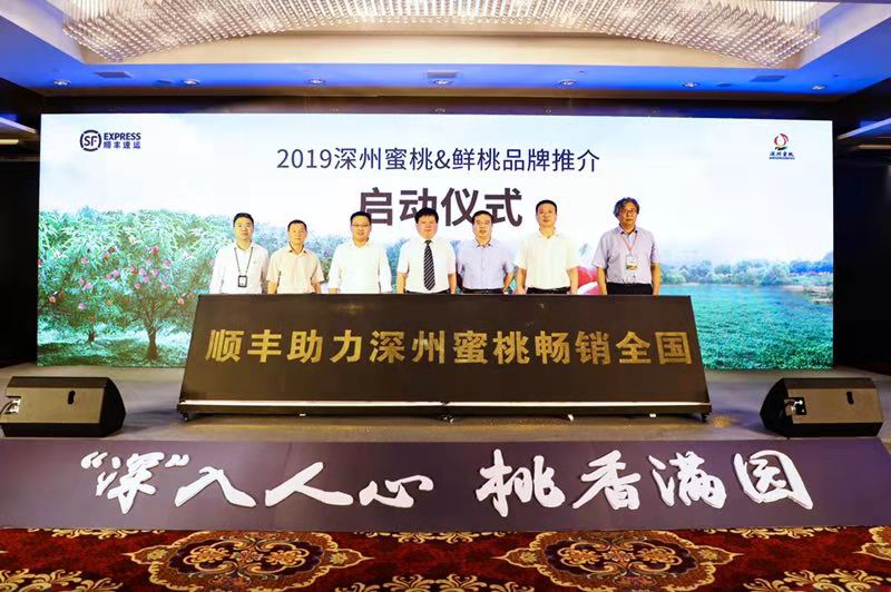 1578883659740576.jpg 图片4.jpg